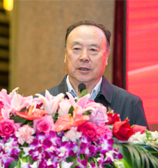 十一届全国政协副主席白立忱宣布2017中国分享经济发展论坛开幕